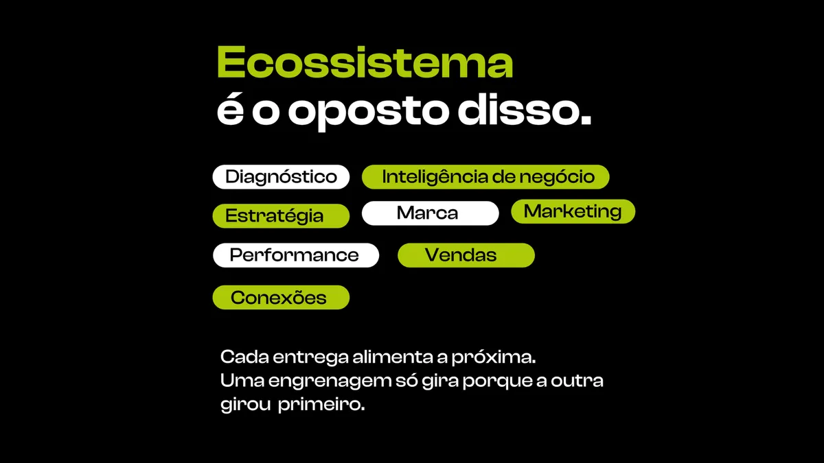 como funciona uma gestão fitness
